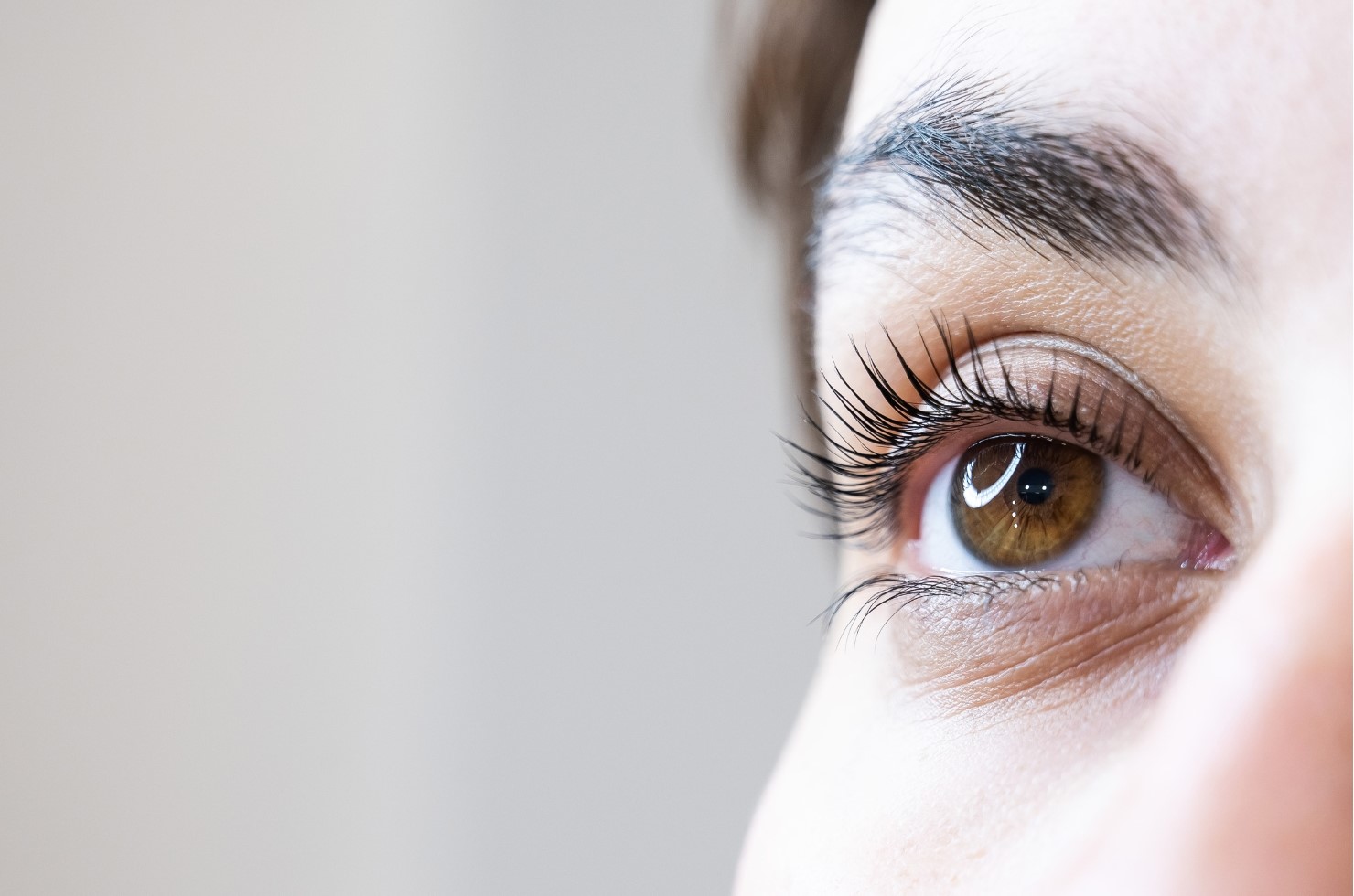 Ripset ja kulmat Helsinki -Marijella